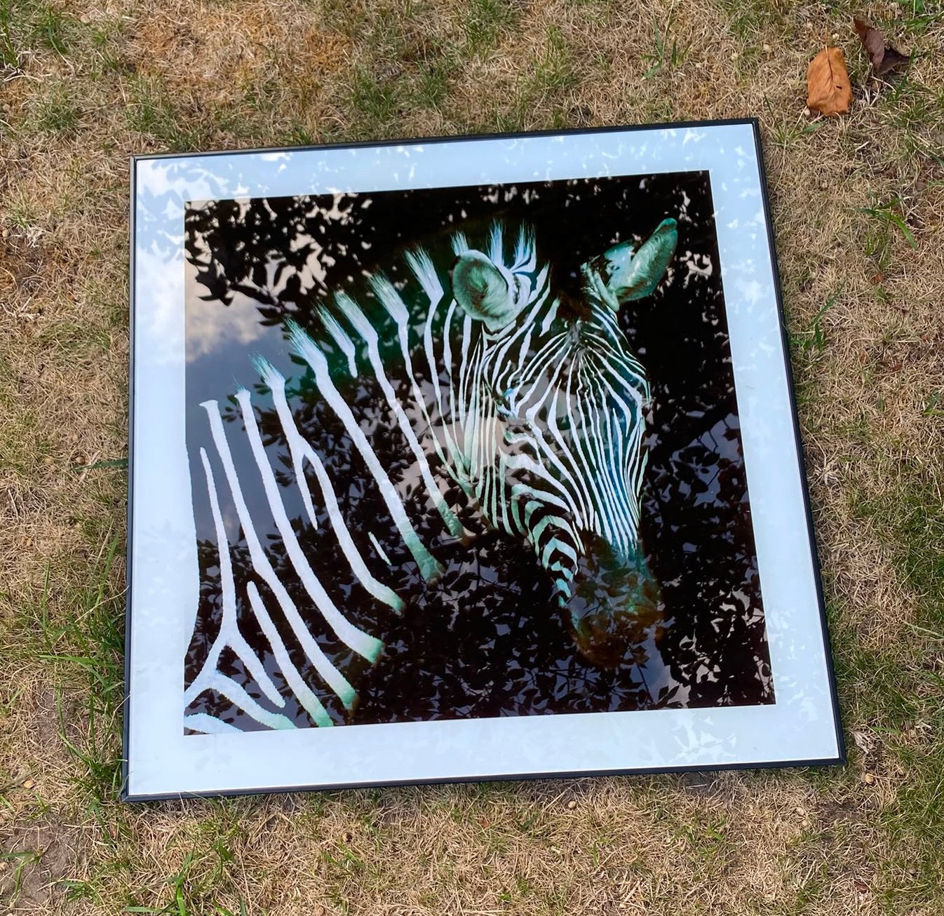 3 mooie schilderijen met dieren / zwarte lijst, Antiek en Kunst, Ophalen of Verzenden