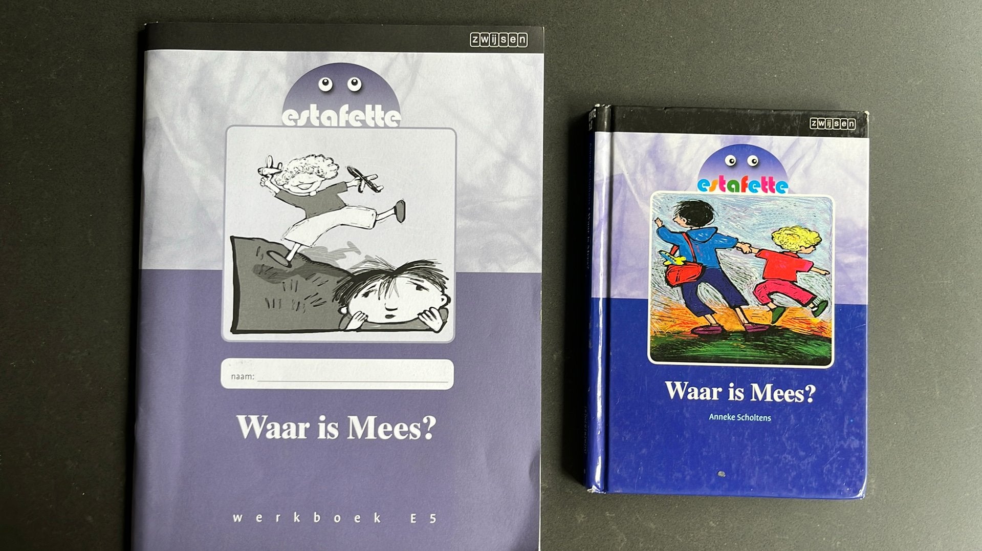 Begrijoend lezen groep 5 leesboek met werkschrift, Boeken, Ophalen of Verzenden, Zo goed als nieuw, Overige niveaus, Nederlands