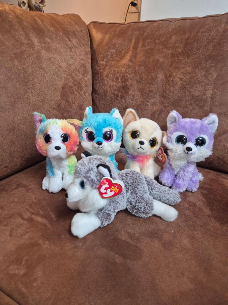 Leuke set van 5 Ty Beanie Boo's knuffels - diverse honden, Grijs, Middelgroot (20 tot 80 cm), Ty, Hond