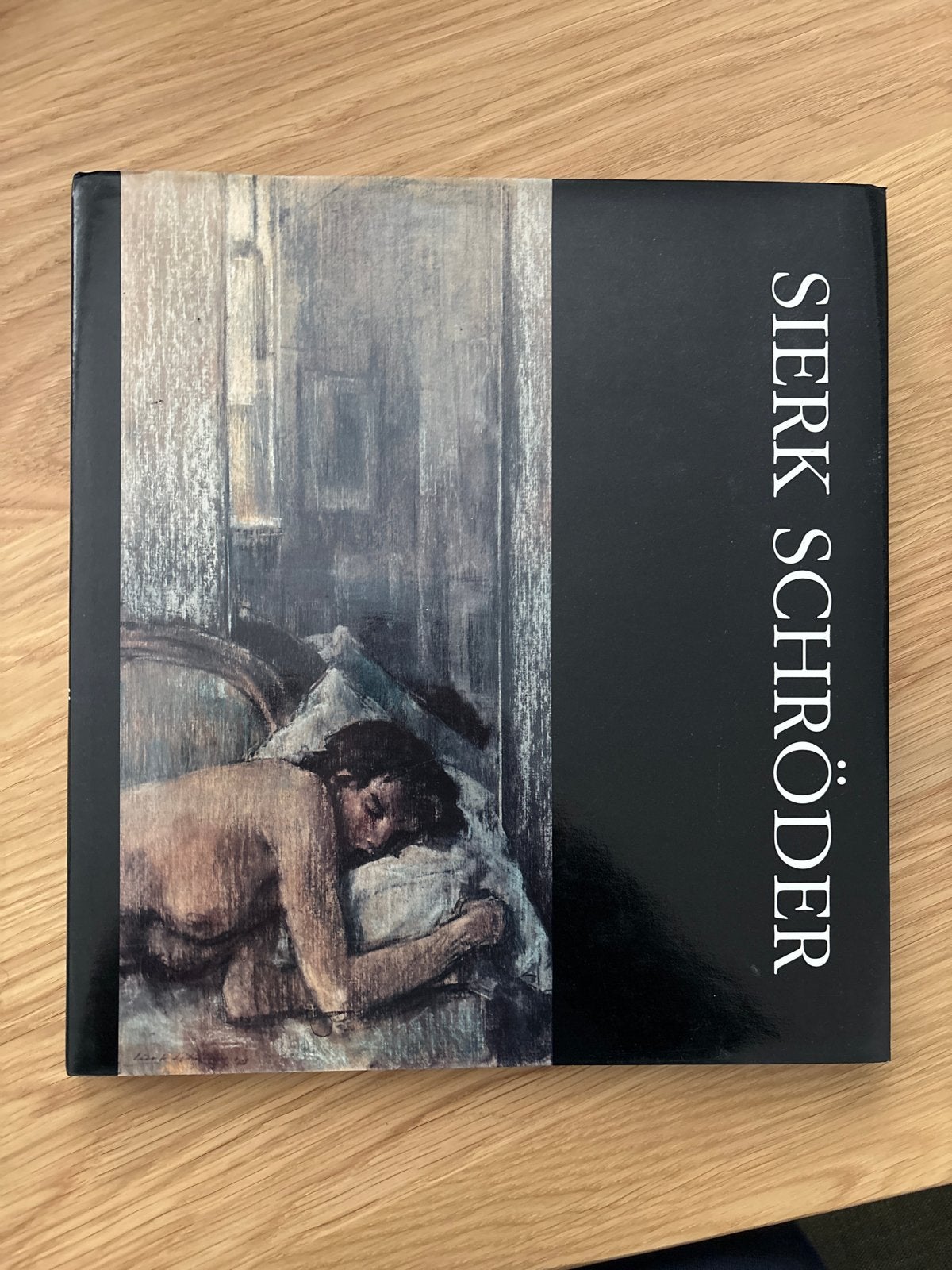 Sierk Schröder Kunstboek - Tekeningen en Portretten, Verzenden, Zo goed als nieuw, Schilder- en Tekenkunst