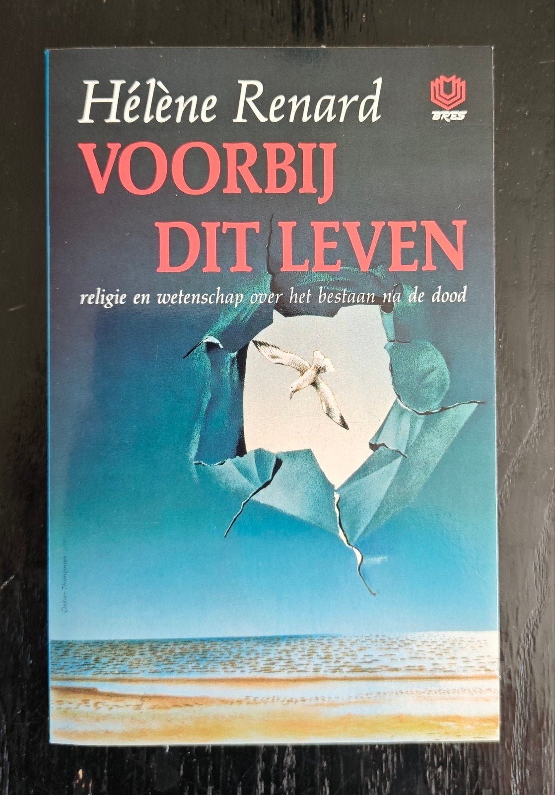 Hélène Renard: Voorbij dit leven., Achtergrond en Informatie, Spiritualiteit algemeen, Ophalen of Verzenden, Zo goed als nieuw