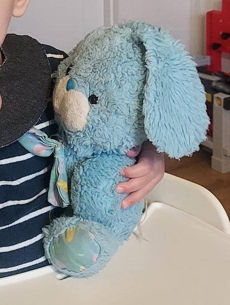 Gezocht: blauwe konijn knuffel, Gebruikt, Verzenden, Blauw, Konijn