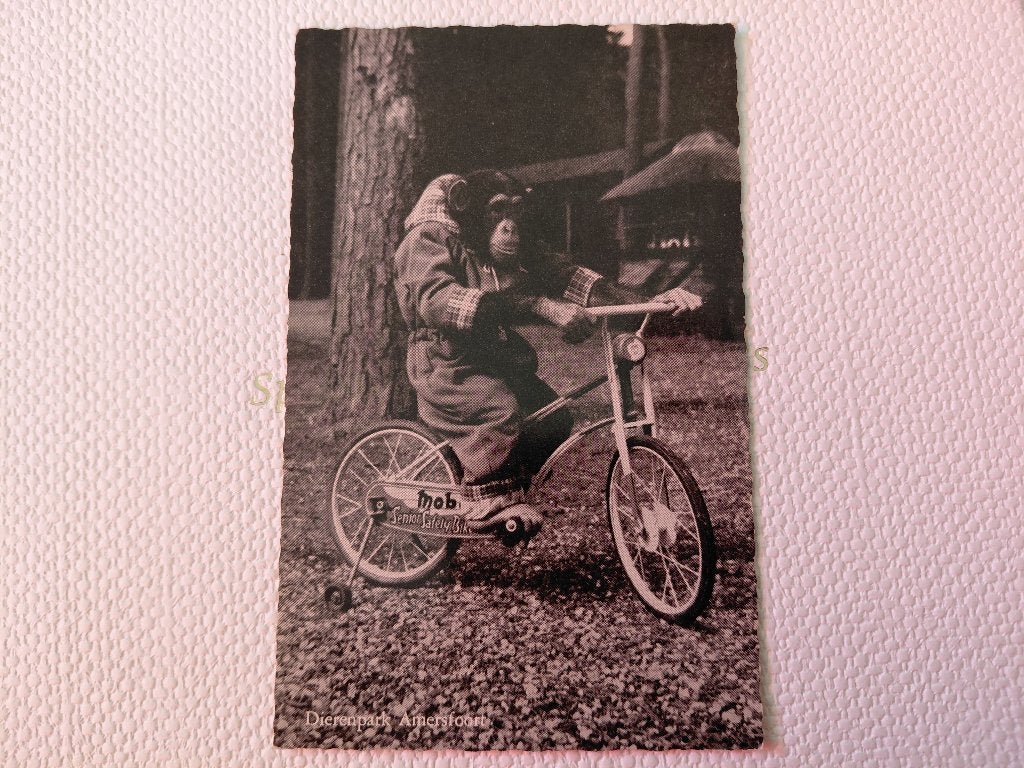 Chimpansee op fiets, dierenpark Amersfoort, gelopen, 1962, Verzamelen, Ansichtkaarten | Dieren, Verzenden, 1960 tot 1980, Gelopen