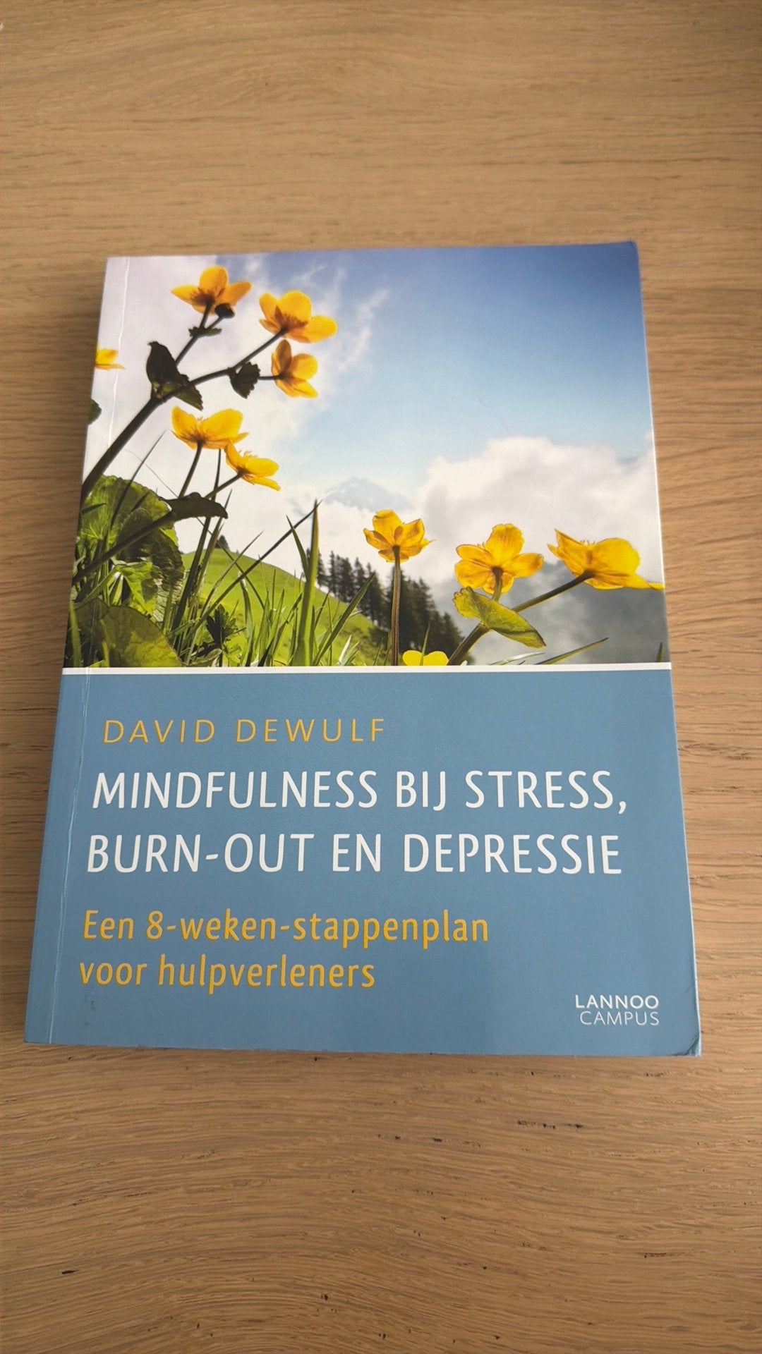 David Dewulf - Mindfulness bij stress, burn-out en depressie, Sociale wetenschap, Ophalen of Verzenden, David Dewulf, Zo goed als nieuw