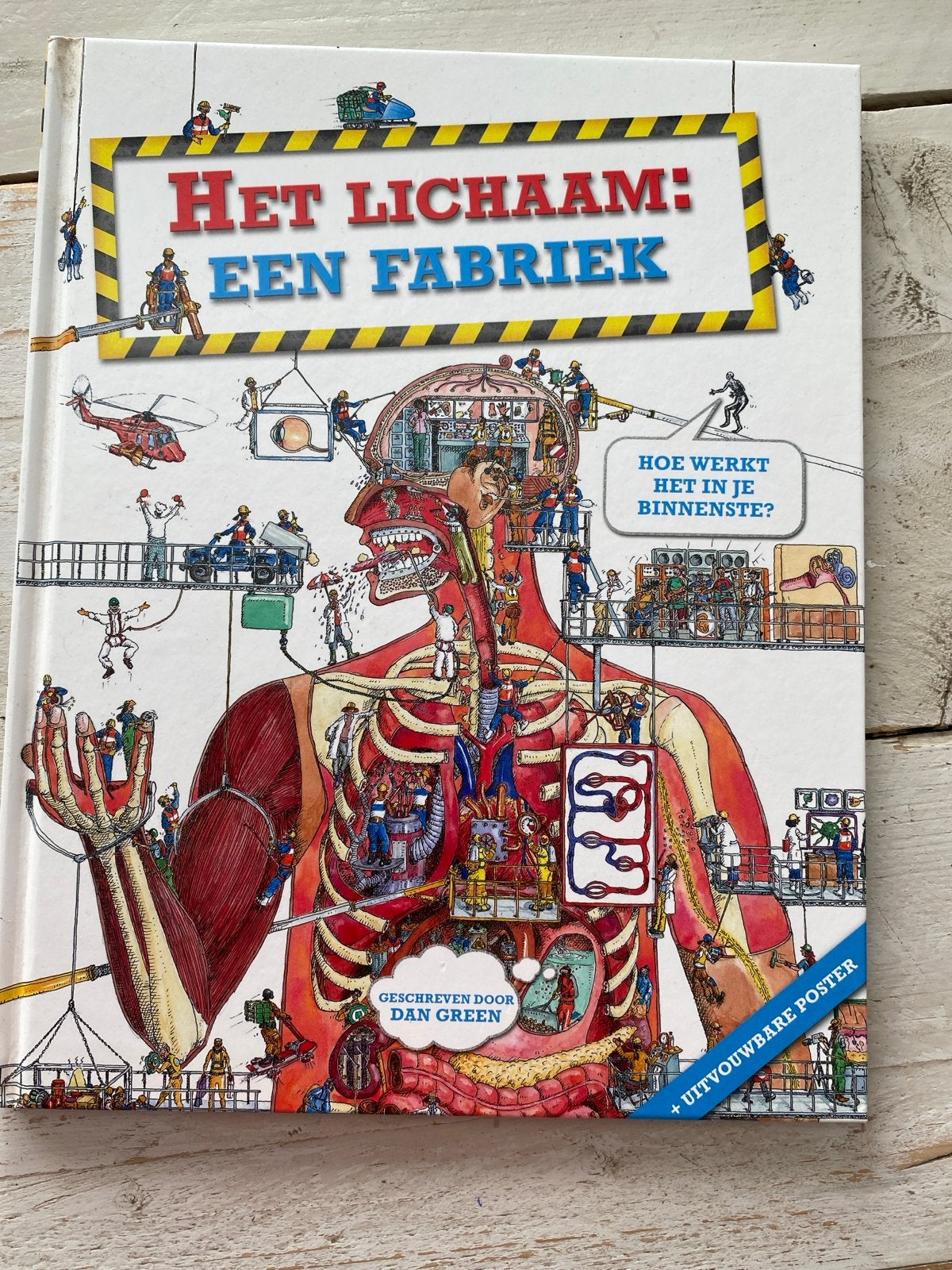 Dan Green - Het lichaam: een fabriek, Boeken, Gelezen, Non-fictie, Ophalen of Verzenden, Dan Green