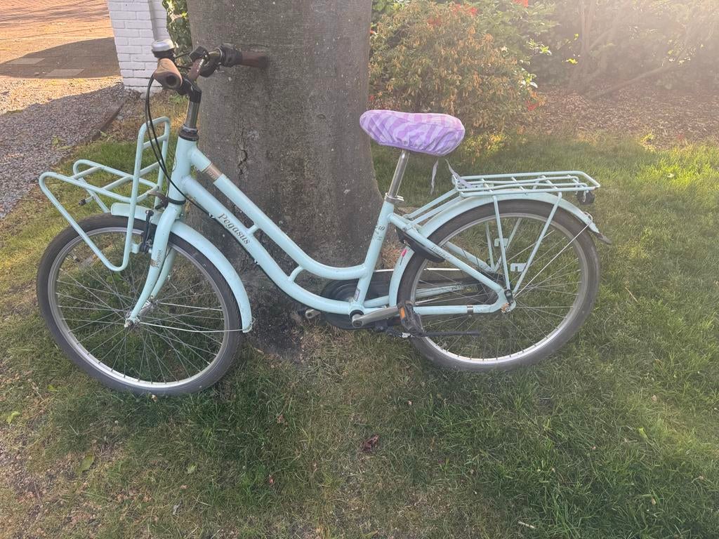 Kinderfiets 24 inch - Pegasus, Ophalen, Zo goed als nieuw, 24 inch