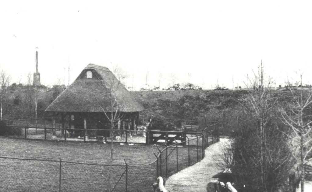 700136	Medemblik	NH jr 40 Hertenkamp zegel 2 WO	gelopen, Ophalen of Verzenden, 1940 tot 1960, Gelopen, Noord-Holland