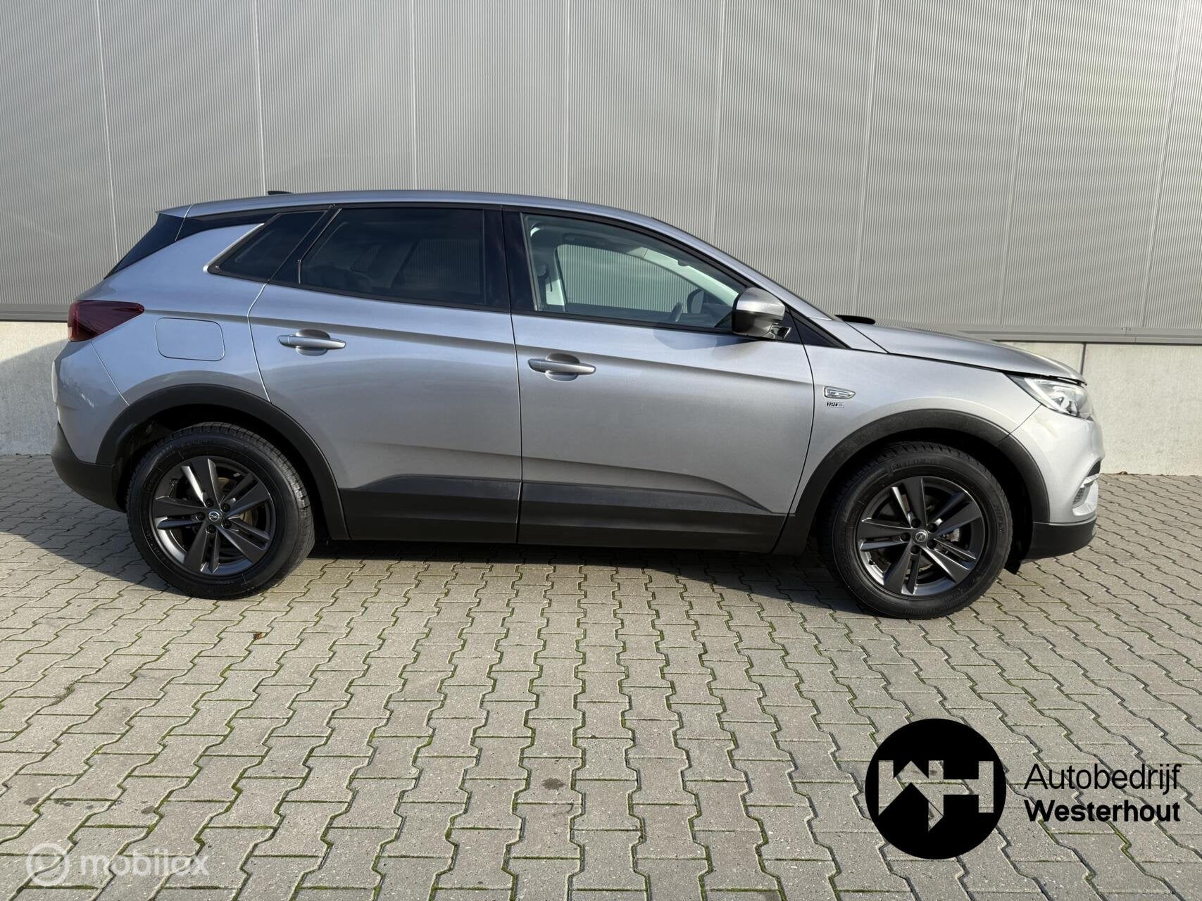 Foto 6 van Opel Grandland X 1.2 Turbo 120 Jaar Edition PANO AUTOMAAT AP