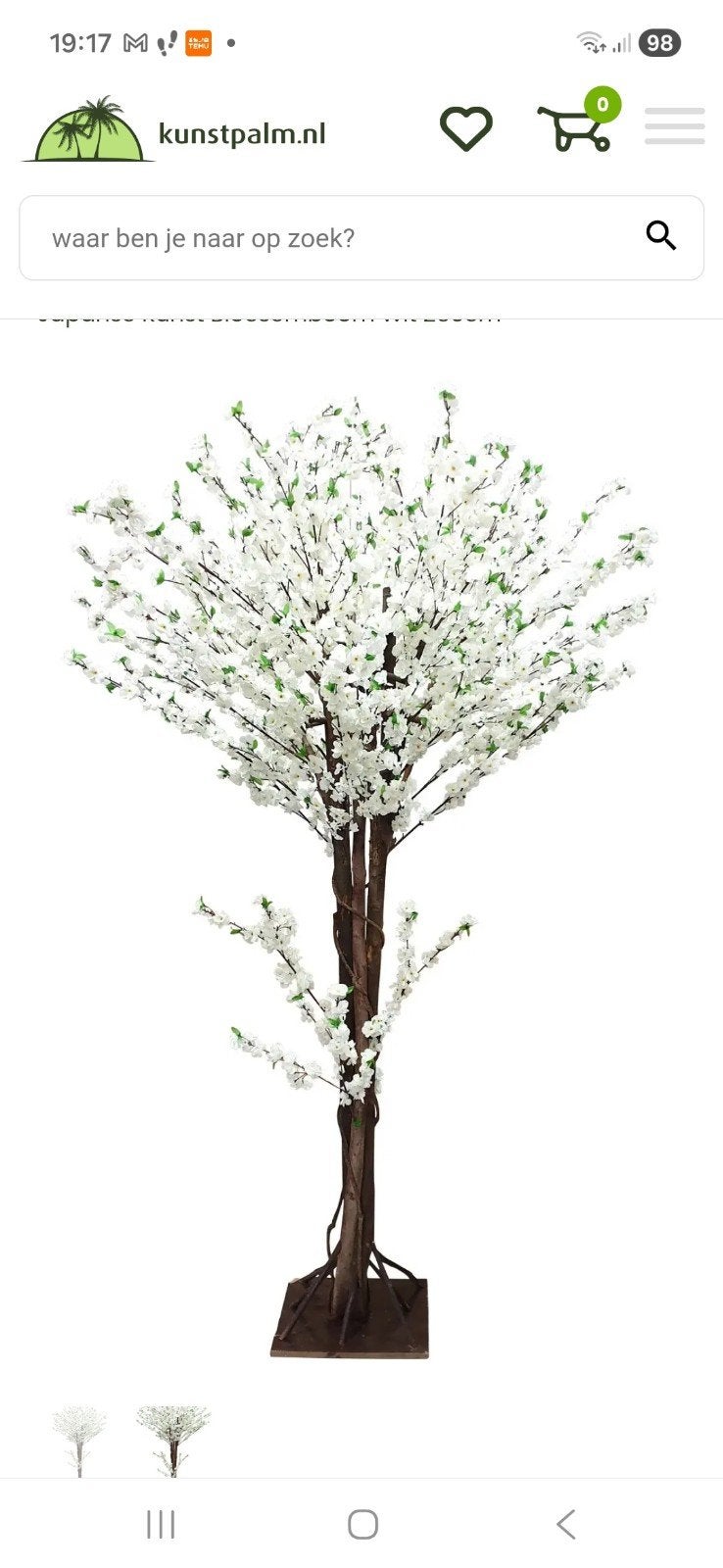 Kunstbloesemboom - Witte bloesem, Ophalen
