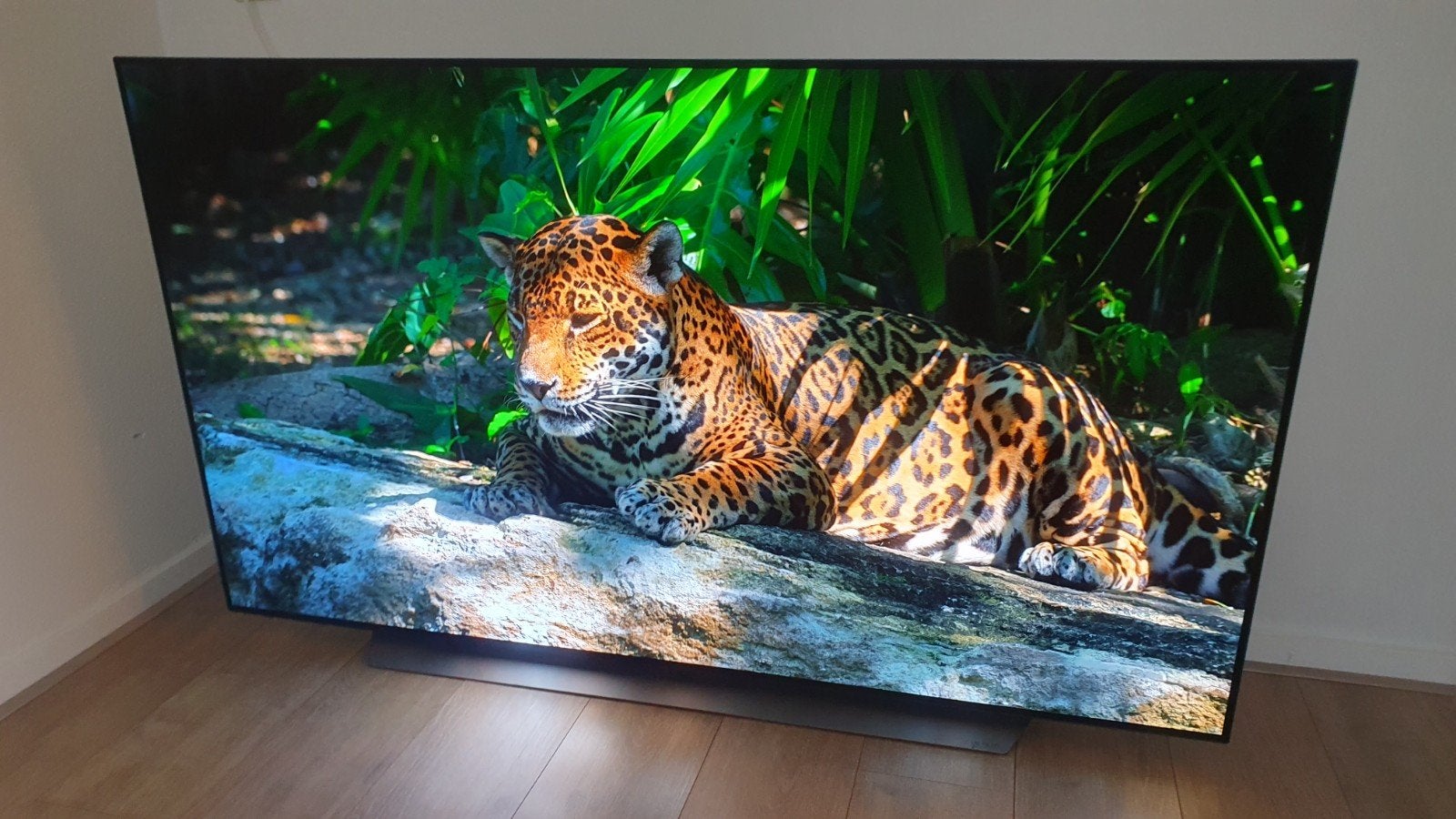LG OLED55C9PLA – 55″ 4K OLED Smart TV – 120Hz – HDR10, Ophalen, Zo goed als nieuw, 100 cm of meer, 4k (UHD)