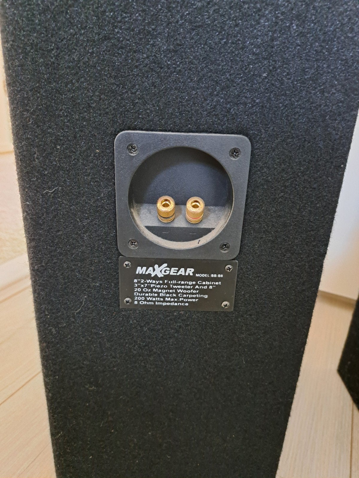 Maxgear DJ speakers