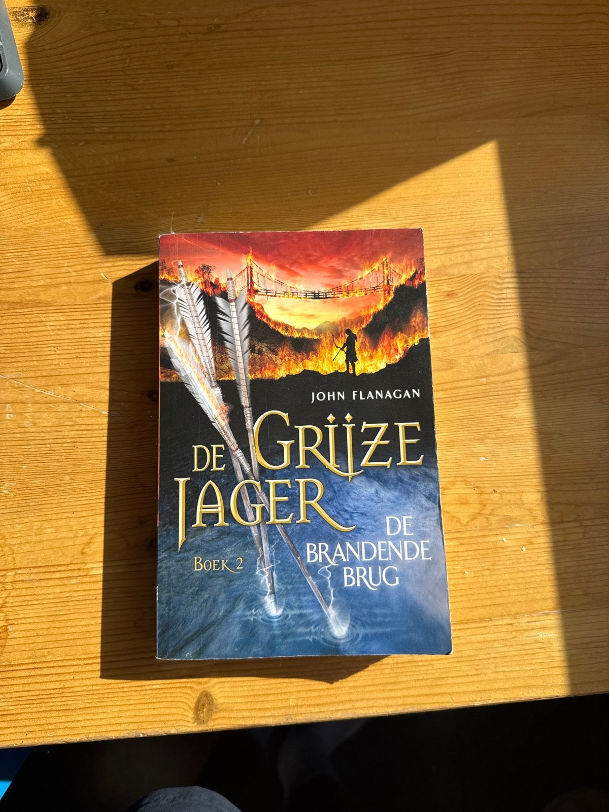 De Grijze Jager Boek 2: De Brandende Brug - John Flanagan, Boeken, Ophalen of Verzenden, Gelezen