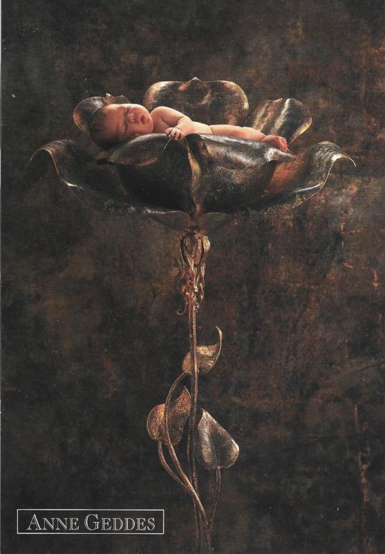 Anne Geddes kaart nr. A222: Stalen Roos, Verzenden, 1980 tot heden, Ongelopen, Kinderen