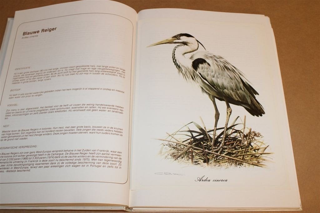 De Vogels van Onze Streken — Met Losse Afbeeldingen, Ophalen of Verzenden, Gelezen, Vogels