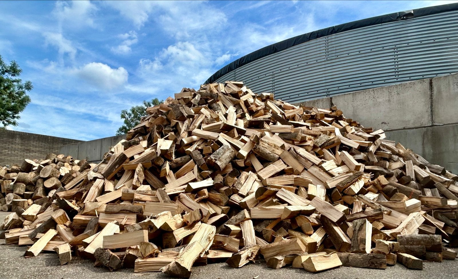 Grote partij gekloofd brandhout - essenhout, Tuin en Terras, 6 m³ of meer, Ophalen, Essenhout, Blokken