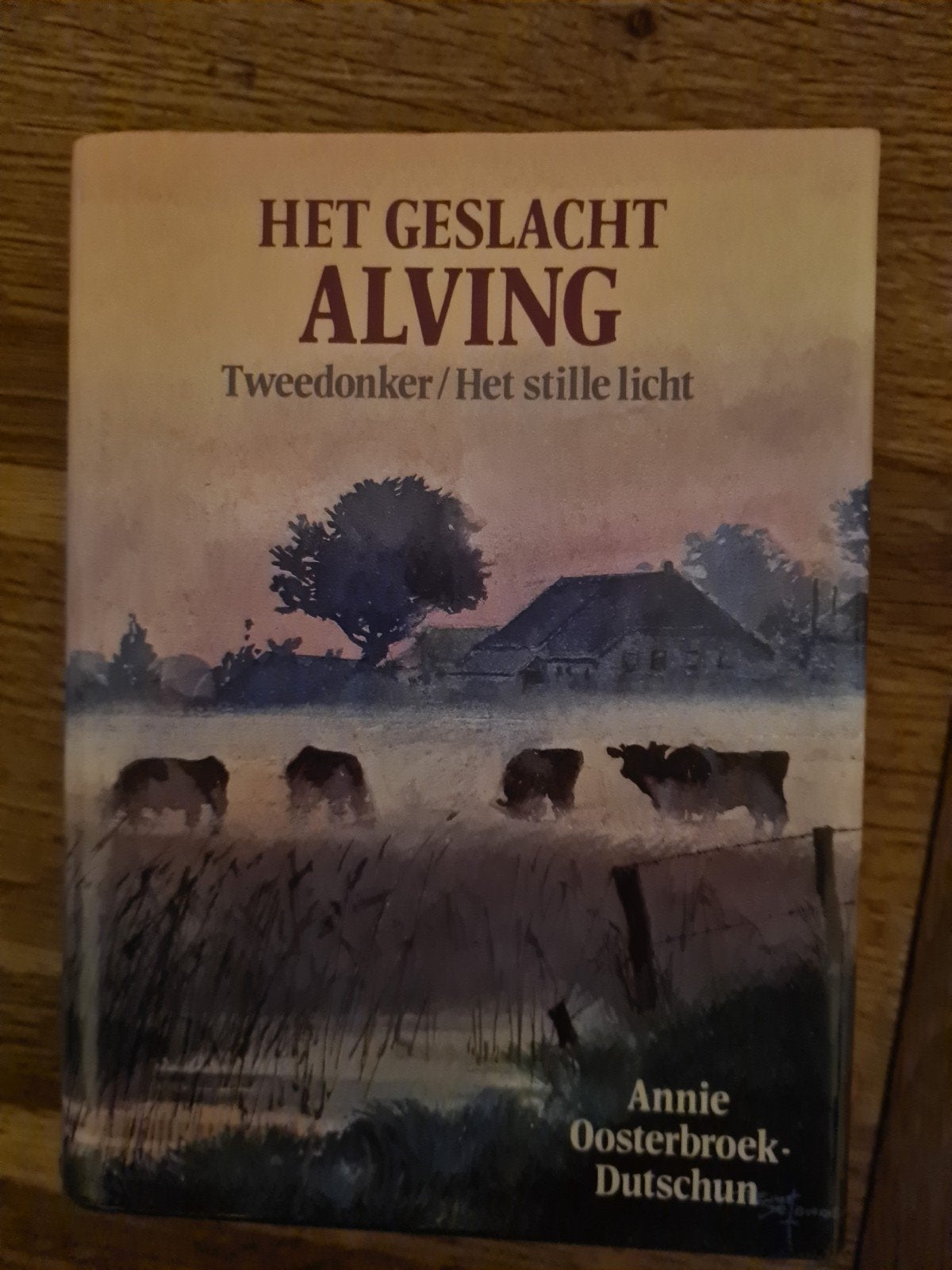 Het Geslacht Alving - Annie Oosterbroek-Dutschun, Ophalen of Verzenden, Gelezen, Annie Oosterbroek-Dutschun, Nederland