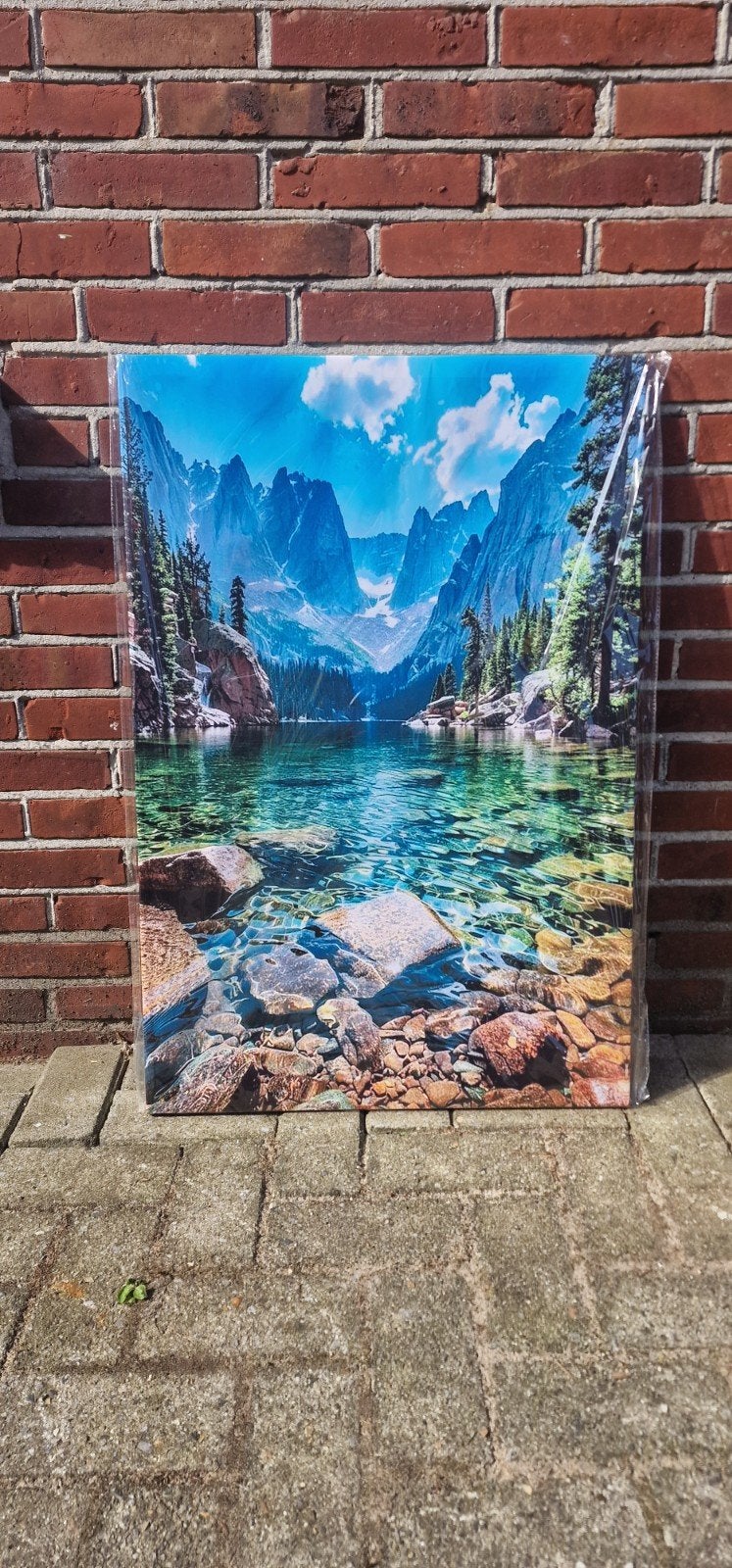Schilderij met berglandschap en meer - Nieuw in plastic, 50 – 75, Nieuw, Ophalen of Verzenden, Schilderij