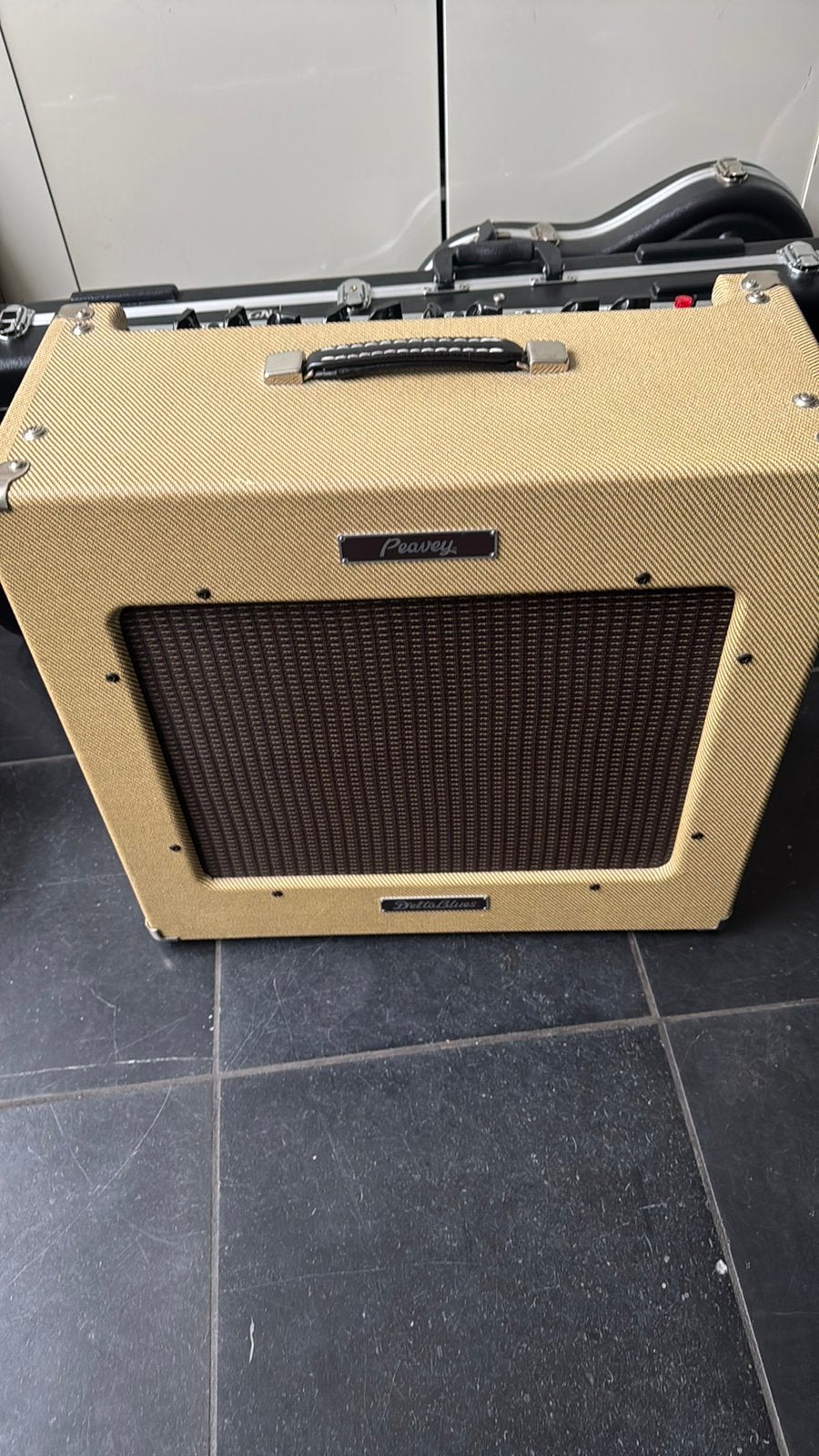 Peavy Delta Blues, Muziek en Instrumenten, Ophalen of Verzenden, Gebruikt, Gitaar, Minder dan 50 watt