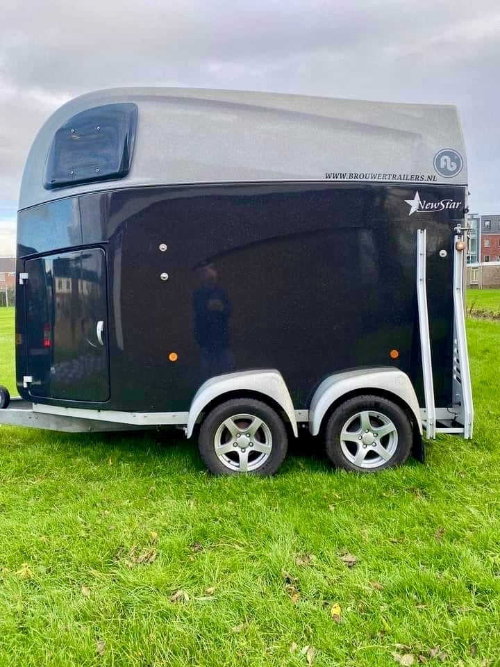 Blomert new star 2-paards trailer 2018 - zeer goede staat, Dieren en Toebehoren, Ophalen, Gebruikt, Aluminium, 2-paards trailer