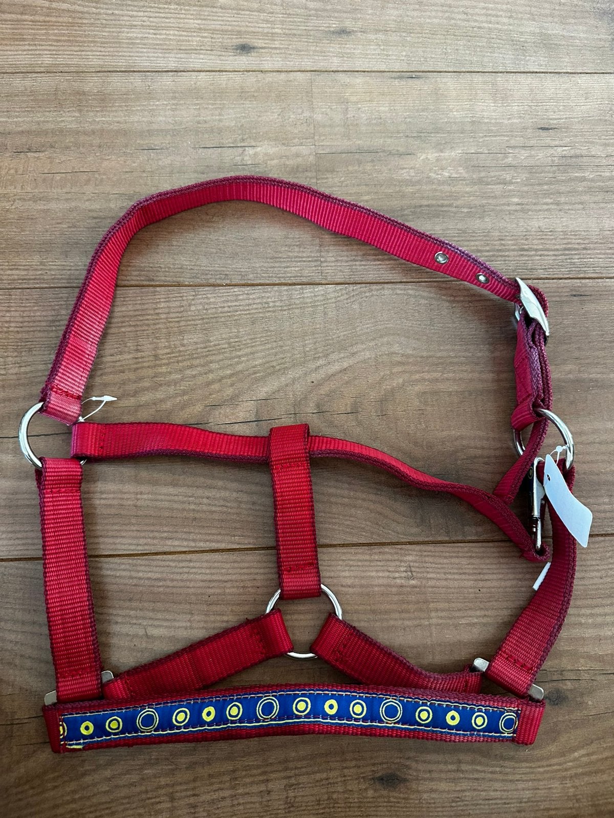 Nieuw halster maat cob, Ophalen of Verzenden, Nieuw, Halster, Cob