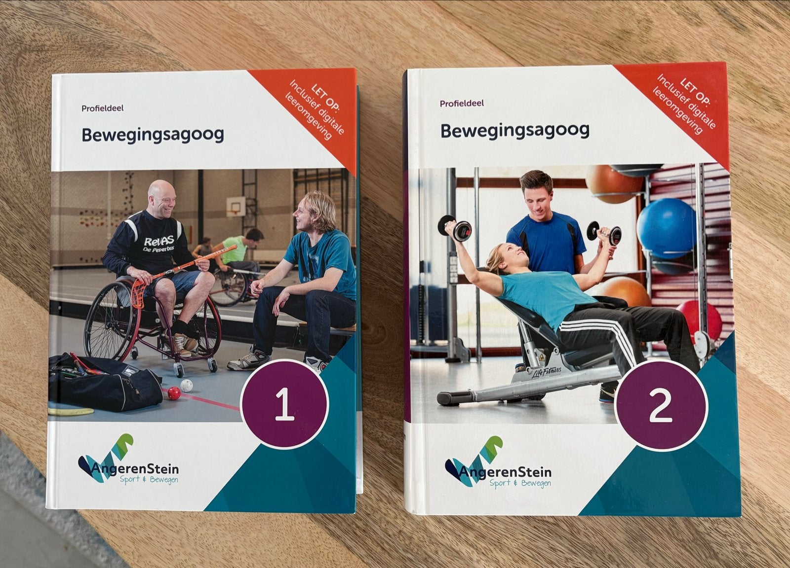CIOS Profieldeel Bewegingsagoog 1 & 2 - Angerenstein, Ophalen, Zo goed als nieuw, Overige niveaus, Overige vakken