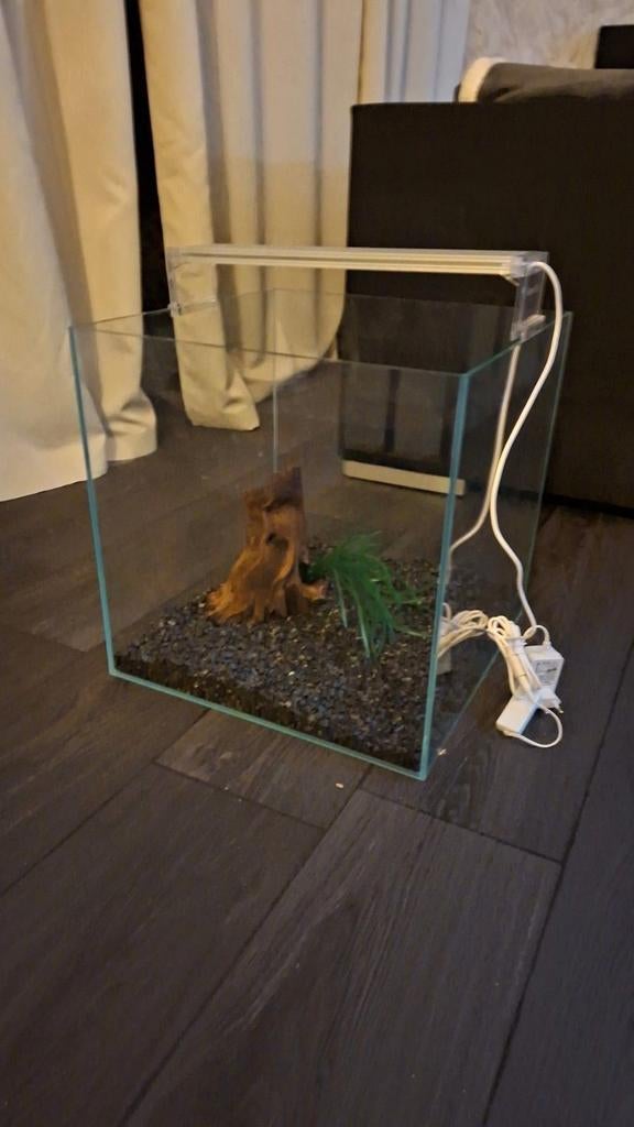 Aquarium, Dieren en Toebehoren, Vissen | Aquaria en Toebehoren, Ophalen, Nieuw, Leeg aquarium, Superfish