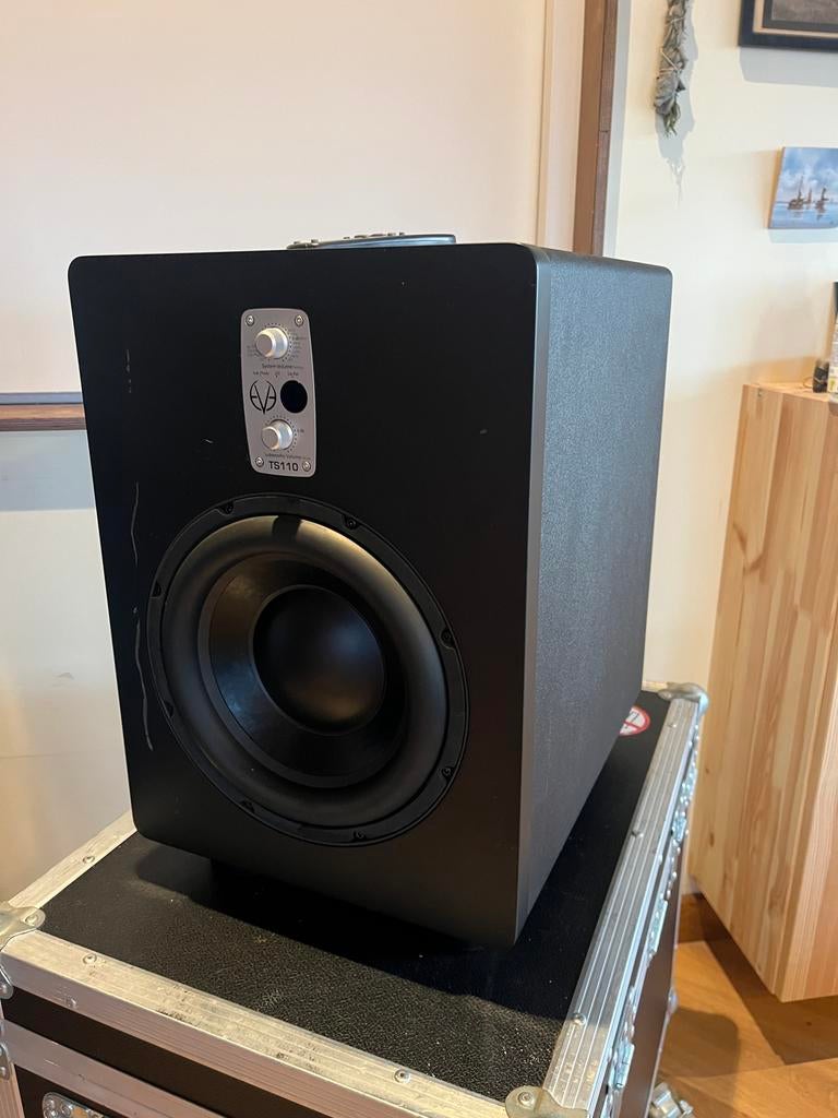 Evo ts110 studio subwoofer, Audio, Tv en Foto, Luidsprekers, Overige merken, Gebruikt, Subwoofer, Ophalen of Verzenden
