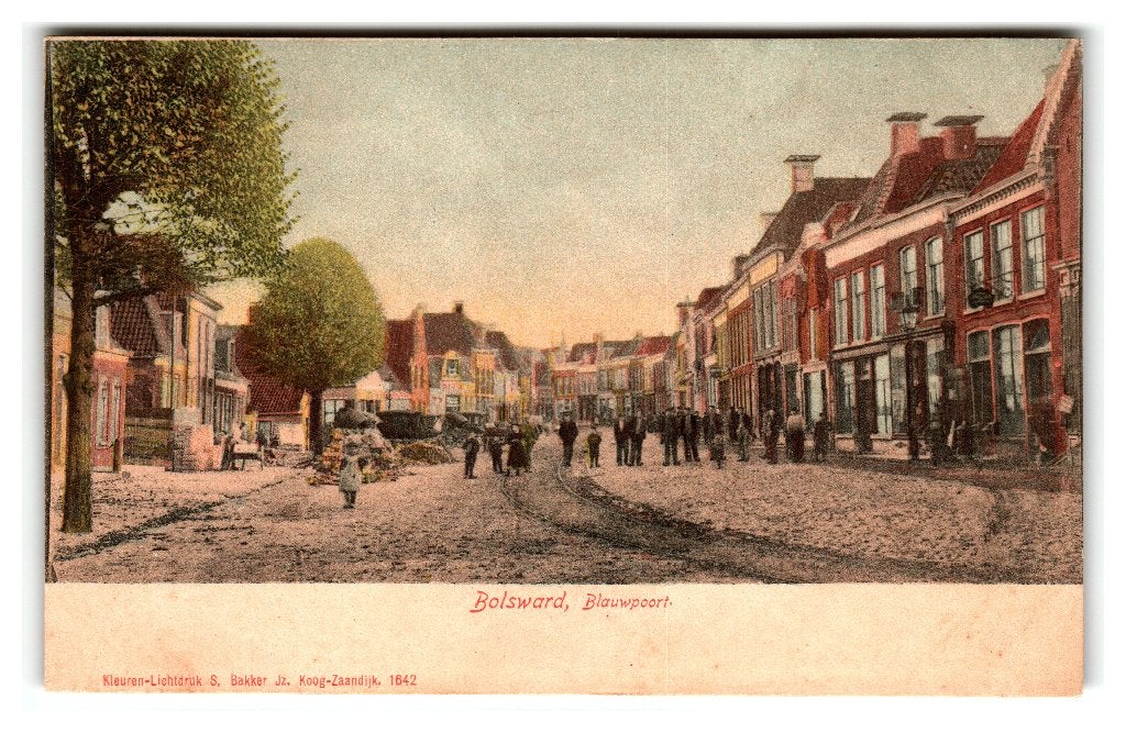 Bolsward, Blauwpoort, Verzenden, Voor 1920, Ongelopen, Friesland