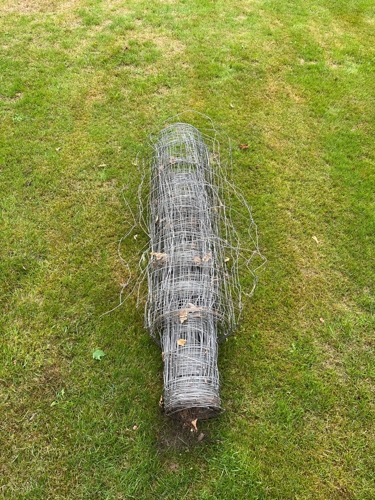 Schapengaas 2 rollen - Ideaal voor afrastering, Ophalen, Gebruikt, 20 meter of meer, Prikkeldraad