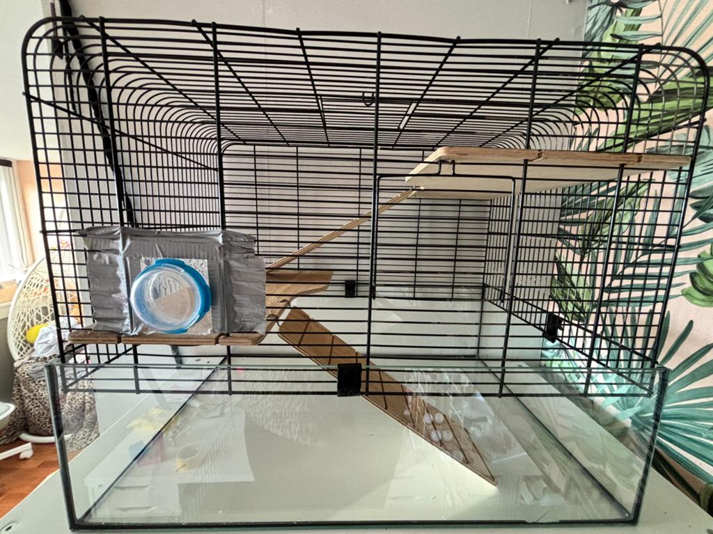 Hamsterkooi met glazen bodem en alle toebehoren, Ophalen, Gebruikt, Overige typen