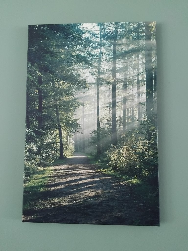 Foto's, Ophalen, Minder dan 50 cm, 50 tot 75 cm, Zo goed als nieuw