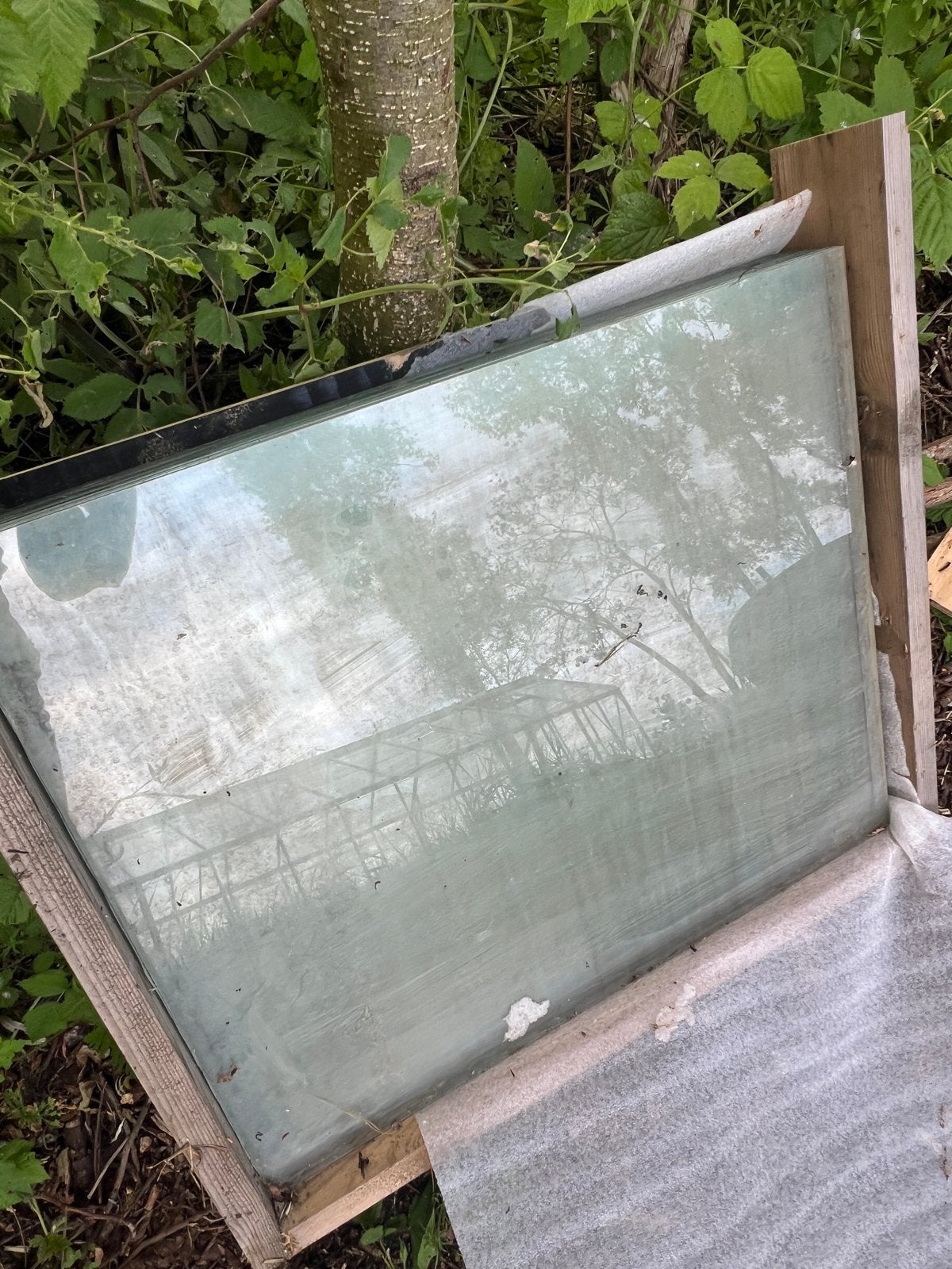 Kasglas 4mm - 61 x 51 - 17 stuks, Doe-het-zelf en Verbouw, Ophalen, Nieuw, Minder dan 80 cm