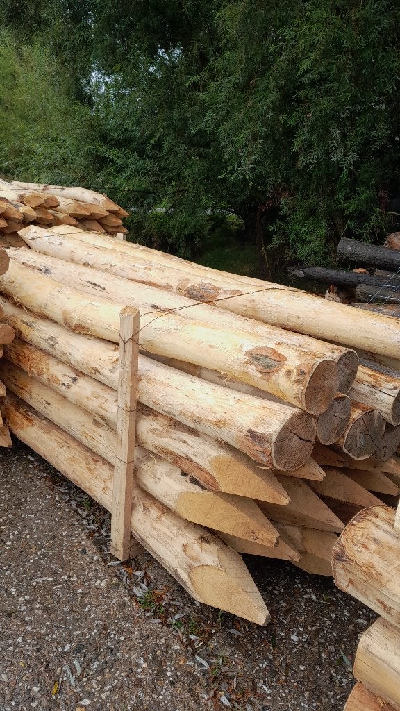 Robiniahouten palen, robinia paal 300cm lang 14-16cm dik, Ophalen, Nieuw, 250 cm of meer, Palen