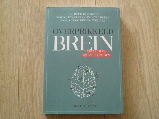 Charlotte Labee - Overprikkeld brein, Boeken, Verzenden, Zo goed als nieuw