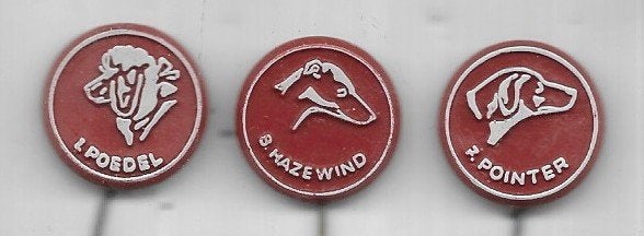 3 HONDEN SPELDEN UIT 1 SERIE POEDEL HAZEWIND EN POINTER, Ophalen of Verzenden, Gebruikt, Dier of Natuur, Speldje of Pin