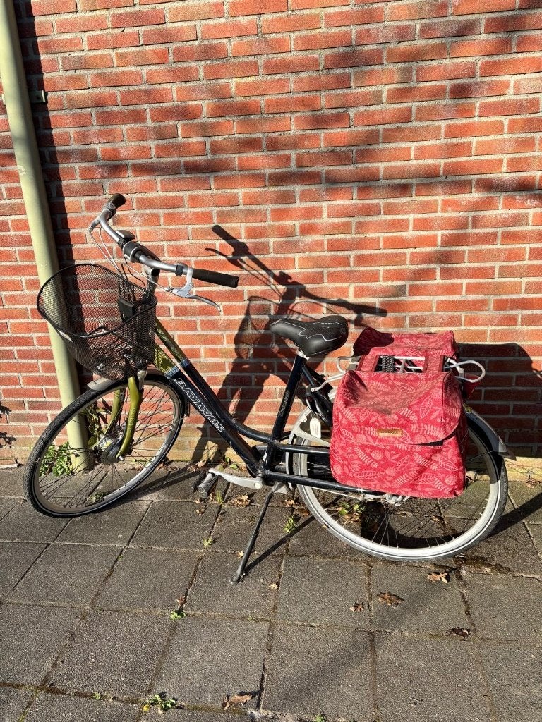 Dames fiets, Ophalen, Gebruikt, Batavus, 50 tot 53 cm