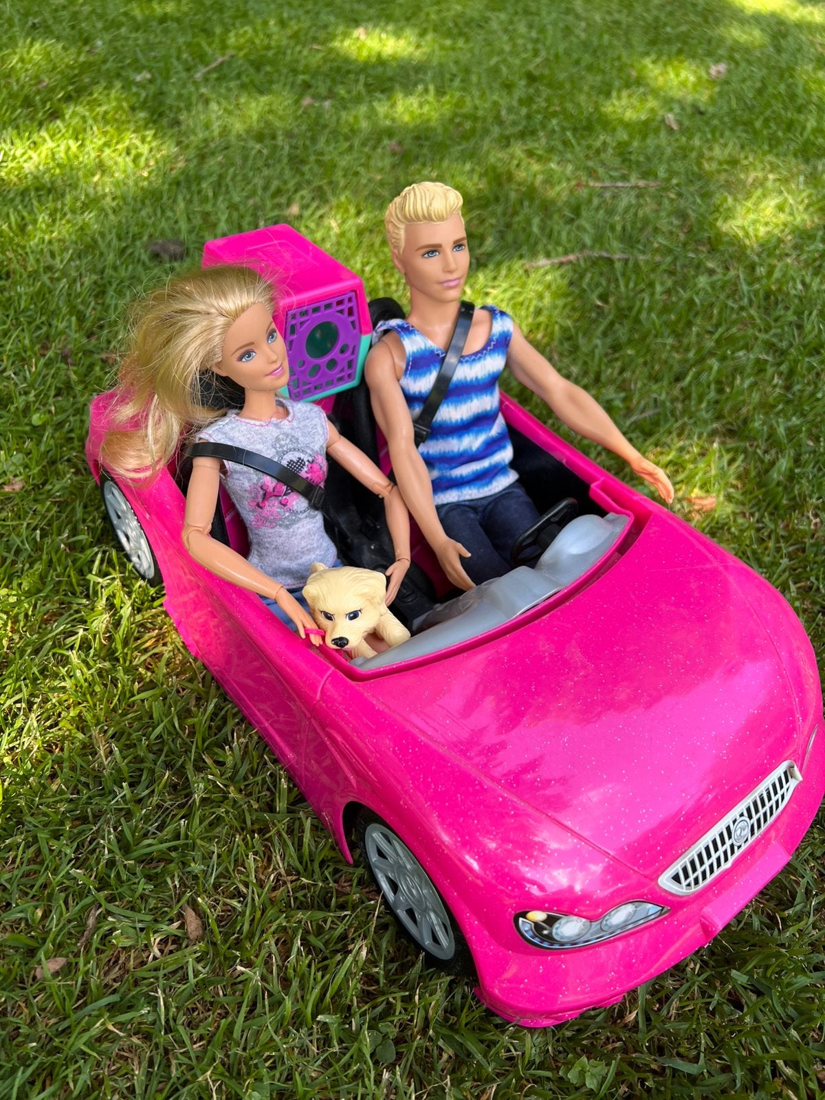 Barbie and Ken w/car and dog, Ophalen, Zo goed als nieuw
