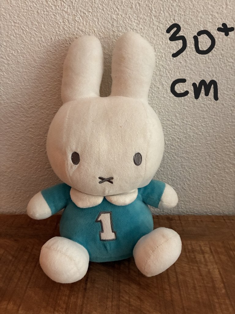 Grote Nijntje knuffel van ruim 30 cm. ZGAN., Ophalen of Verzenden, Zo goed als nieuw, Overige typen