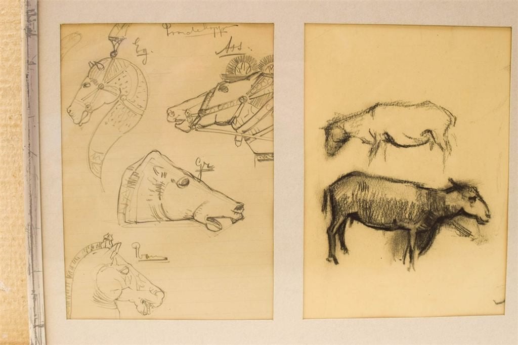 Prent / Tekening van schapen en paardenhoofden 49091, Ophalen of Verzenden, Voor 1920, Ongelopen, Vogel