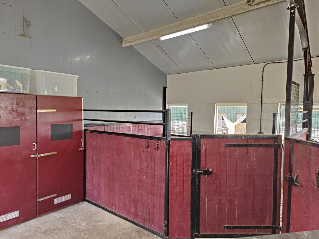 Paardenstal vrij op all in privestal Leidschendam, Weidegang