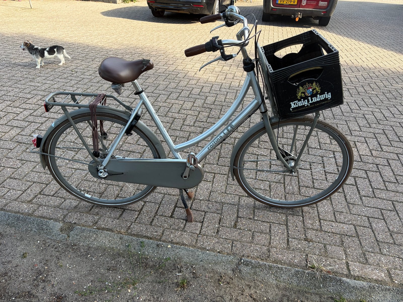 Cortina U4 Transportfiets - Grijs, met krat, Terugtraprem, Ophalen, Overige merken, 53 tot 56 cm