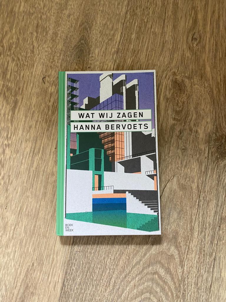 Hanna Bervoets - Wat wij zagen, Boeken, Ophalen of Verzenden, Zo goed als nieuw, Hanna Bervoets