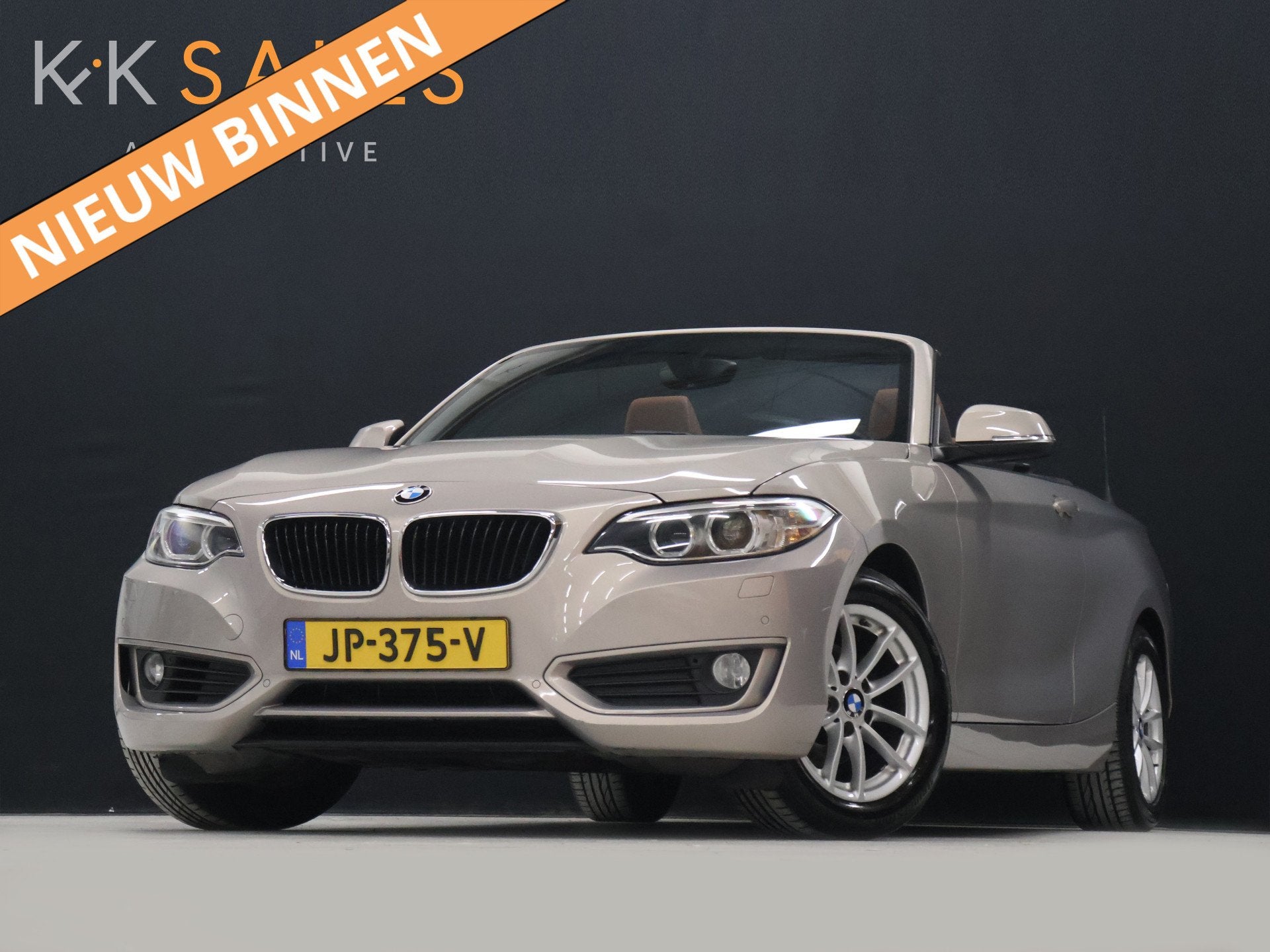 BMW 2 Serie Cabrio 218i Centennial High Executive [CRUISE CO, Automaat, Dealer onderhouden, Gebruikt, Euro 6