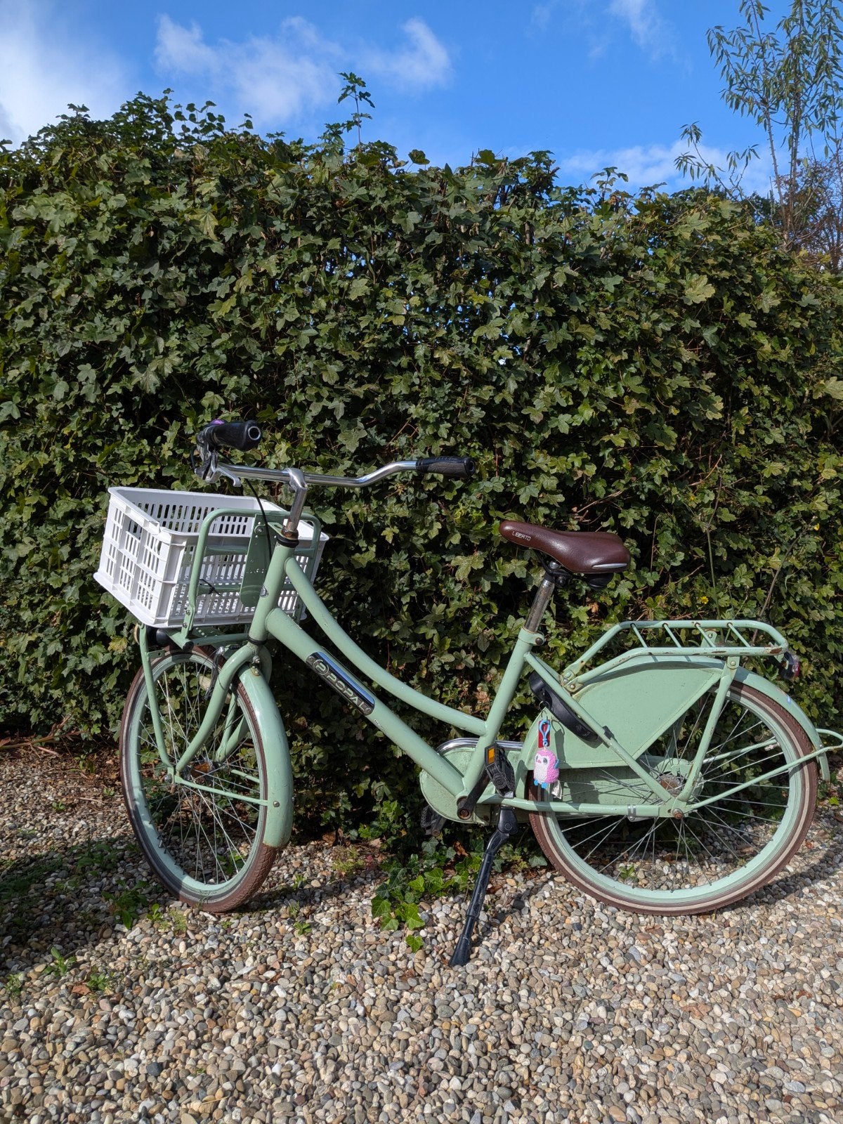 Fiets popal, Fietsen en Brommers, Ophalen, Gebruikt, 26 inch of meer