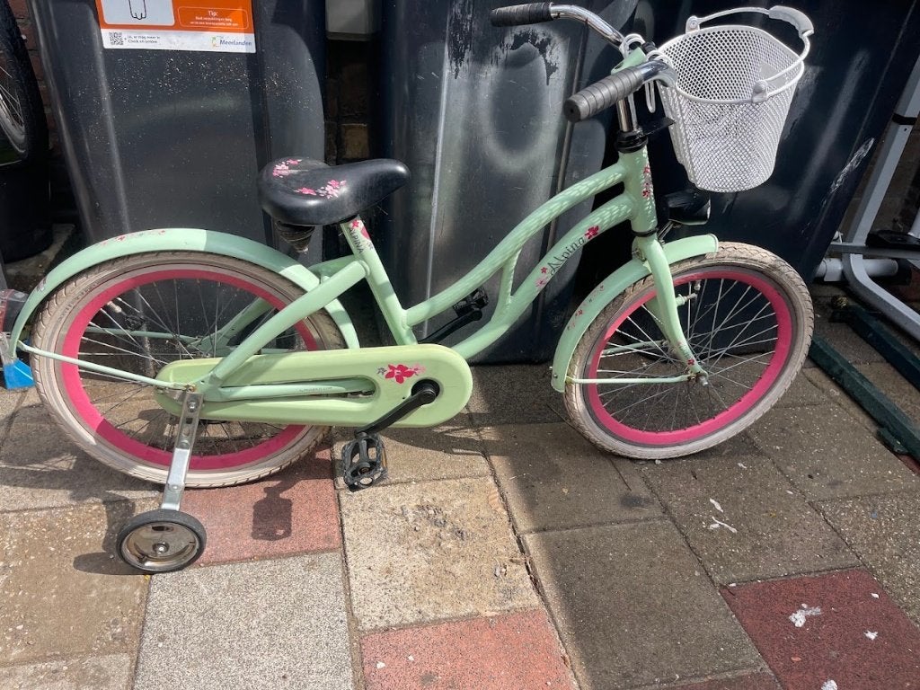 20" Kinderfiets Alpina Club - Mintgroen met zijwieltjes, Fietsen en Brommers, Ophalen, Terugtraprem, Gebruikt, Alpina