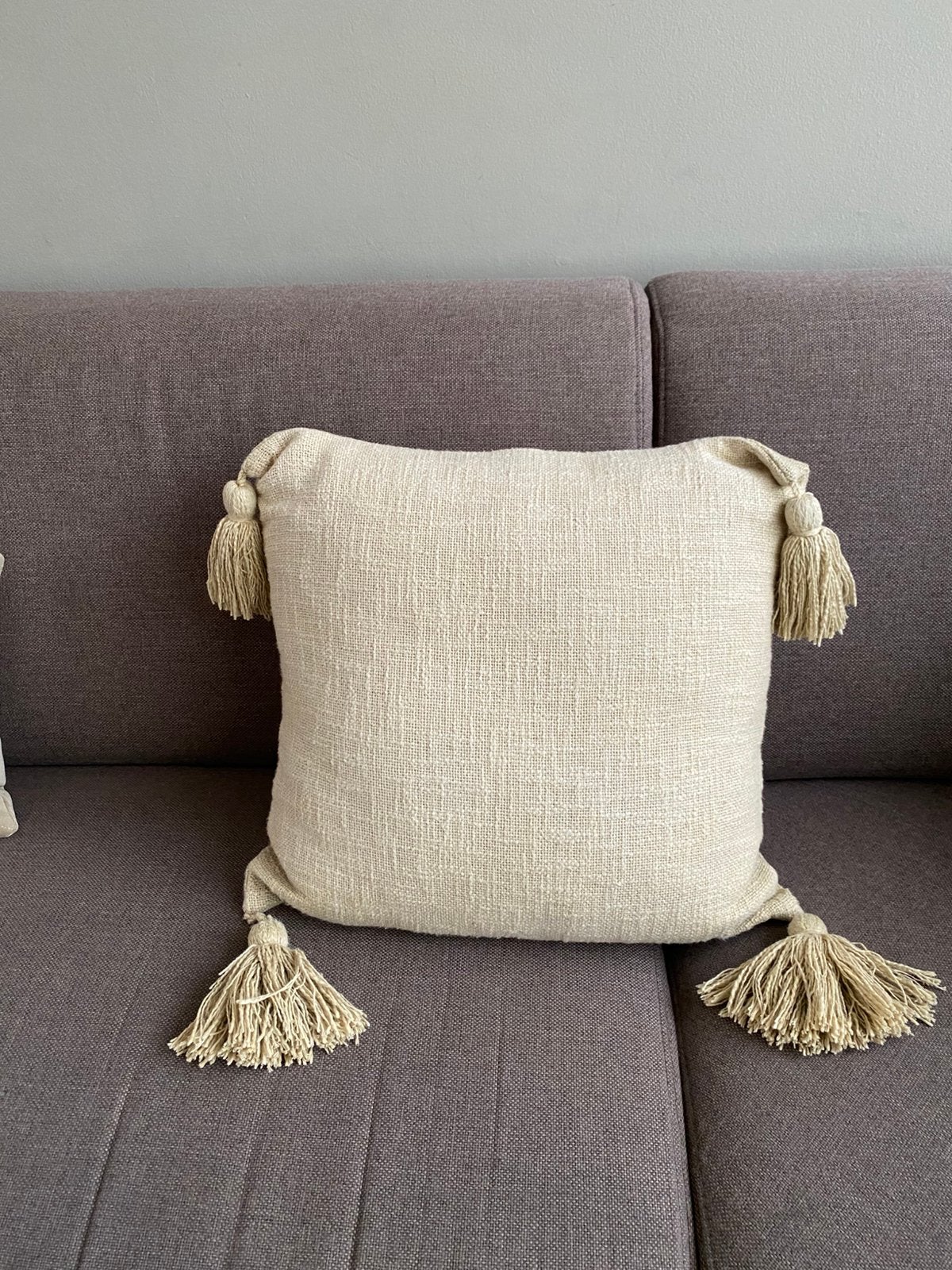 Kussen, Huis en Inrichting, Woonaccessoires | Kussens, Ophalen of Verzenden, Zo goed als nieuw, Vierkant