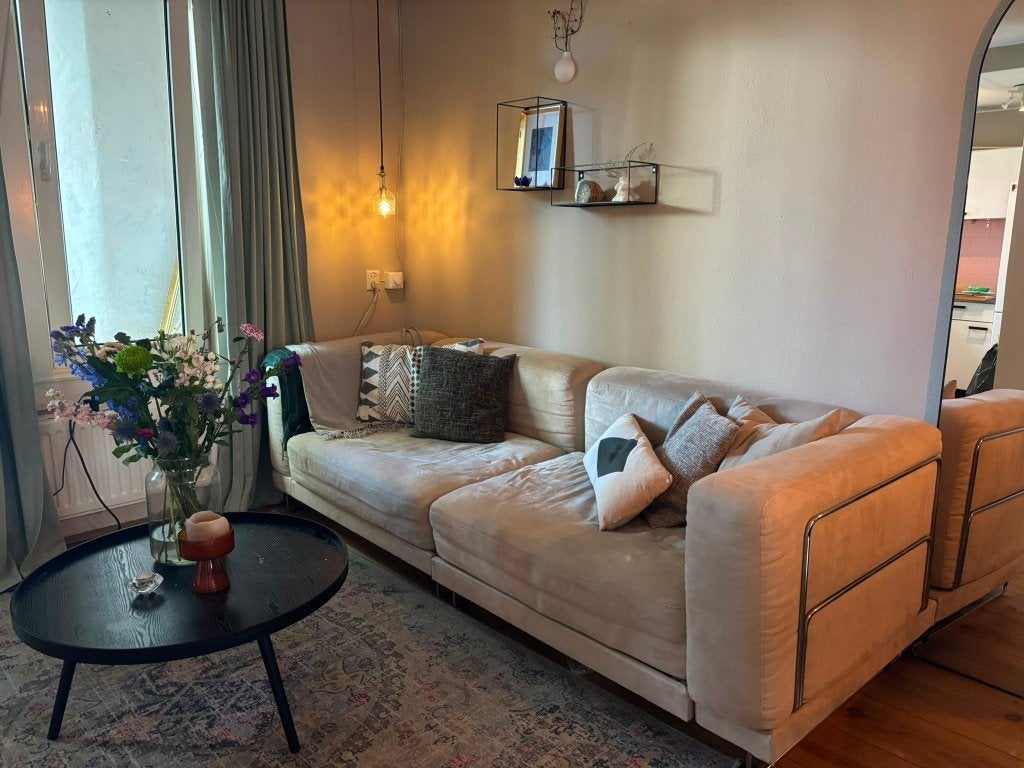 Design slaapbank, velours met opbergruimte, Ophalen, Gebruikt, Moderne design slaapbank, 75 tot 100 cm