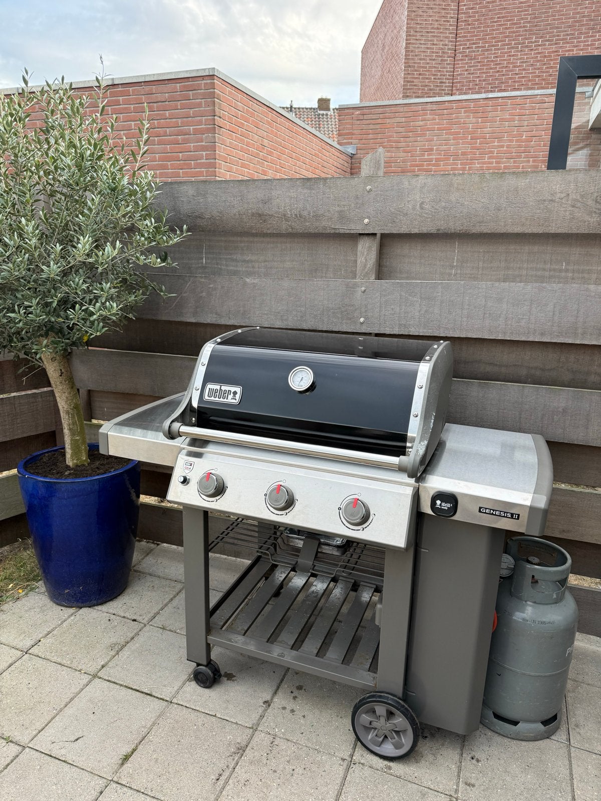 Weber Genesis II in goeie staat incl. hoes, Ophalen, Gebruikt