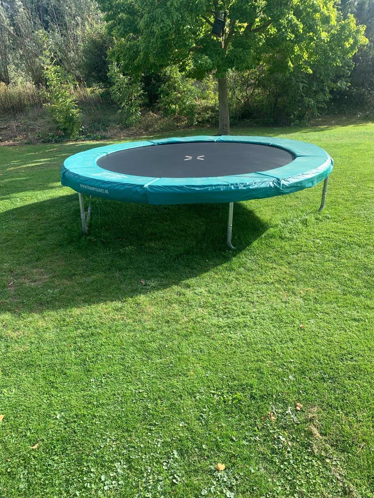 Trampoline, merk Magic Jump -  diameter 300 cm, Ophalen, Gebruikt