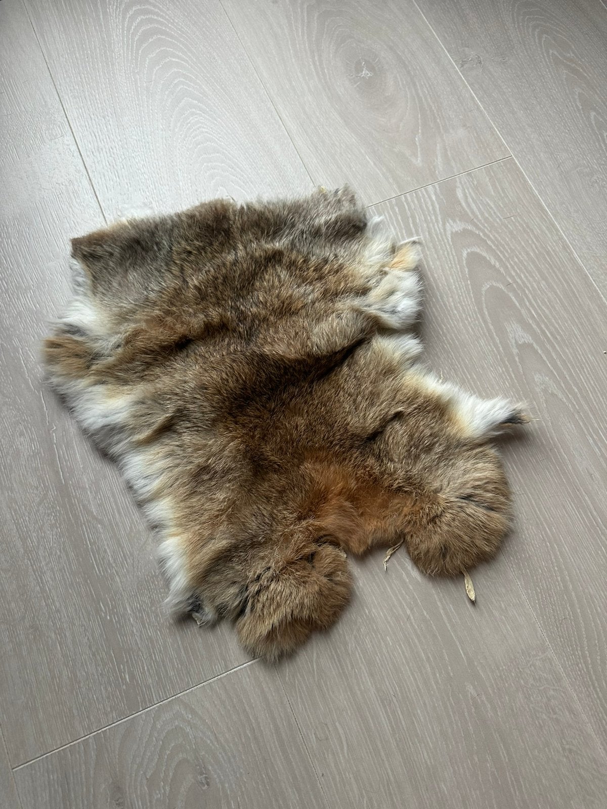 Bruin konijnen vachtje, Ophalen of Verzenden, Zo goed als nieuw